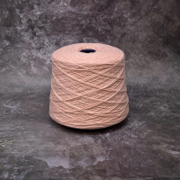  Пряжа в бобинах  FILATI VENEZIA CASHAN Клубничный мусс 573432